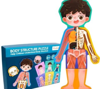 Puzzle Struktura trupore PSTD, djalë
