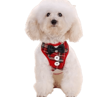 Set këmishë & litar për qen  M