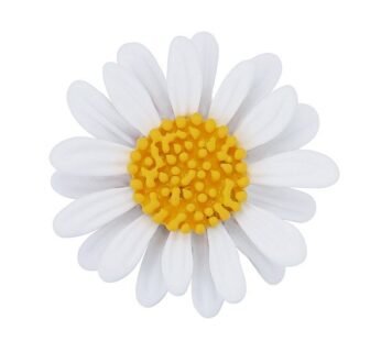 Brosh bakër , Lule, e bardhë/verdhë, B2LV