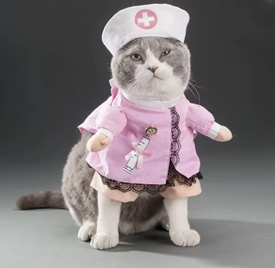 Veshje për mace, S, rozë