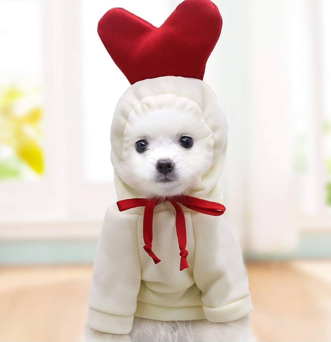 Kostum për kafshë shtëpiake, M