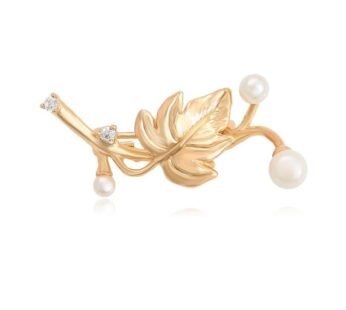 Brosh gjethe rrushi,